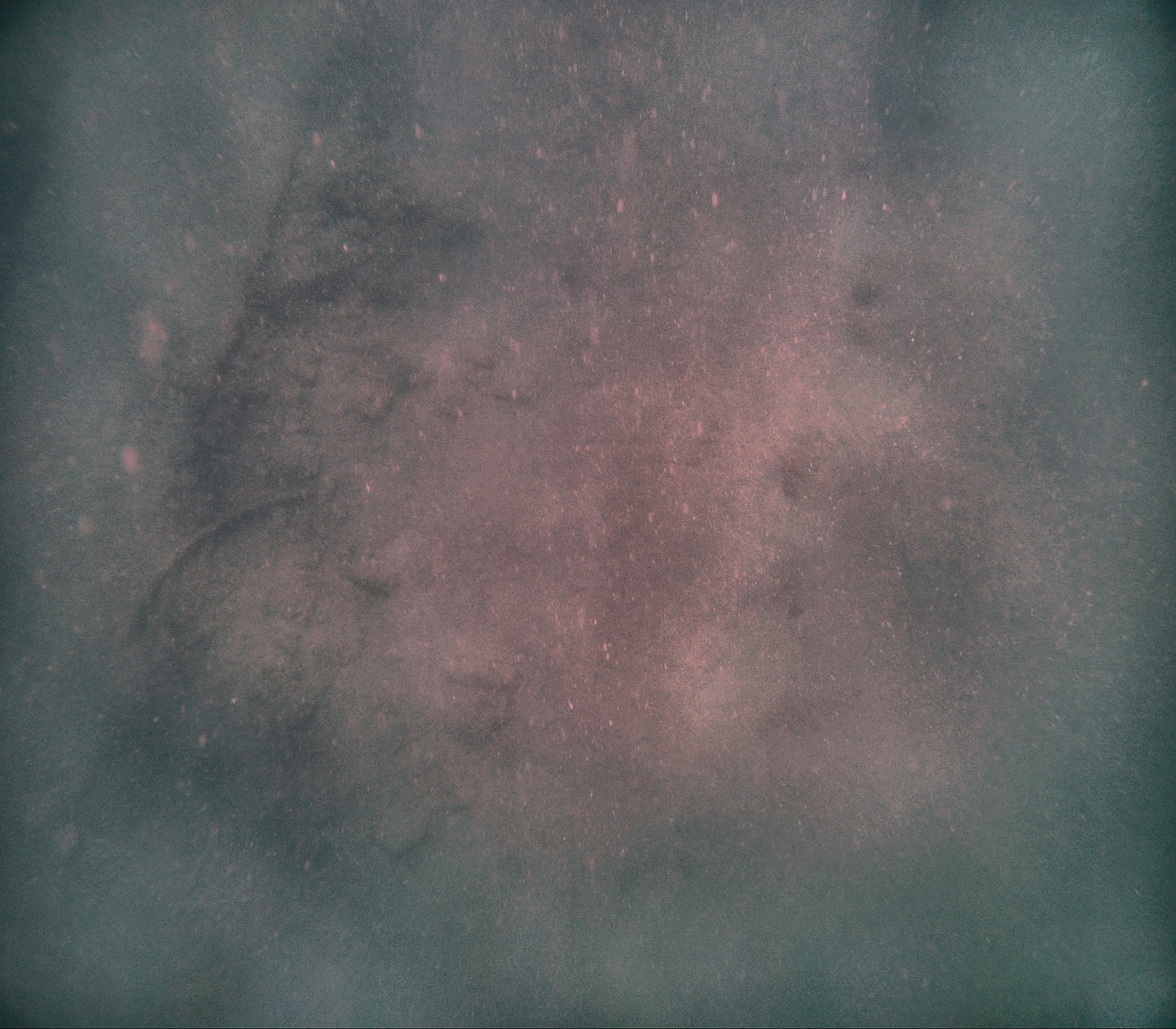 Stingray muck, poor visibility