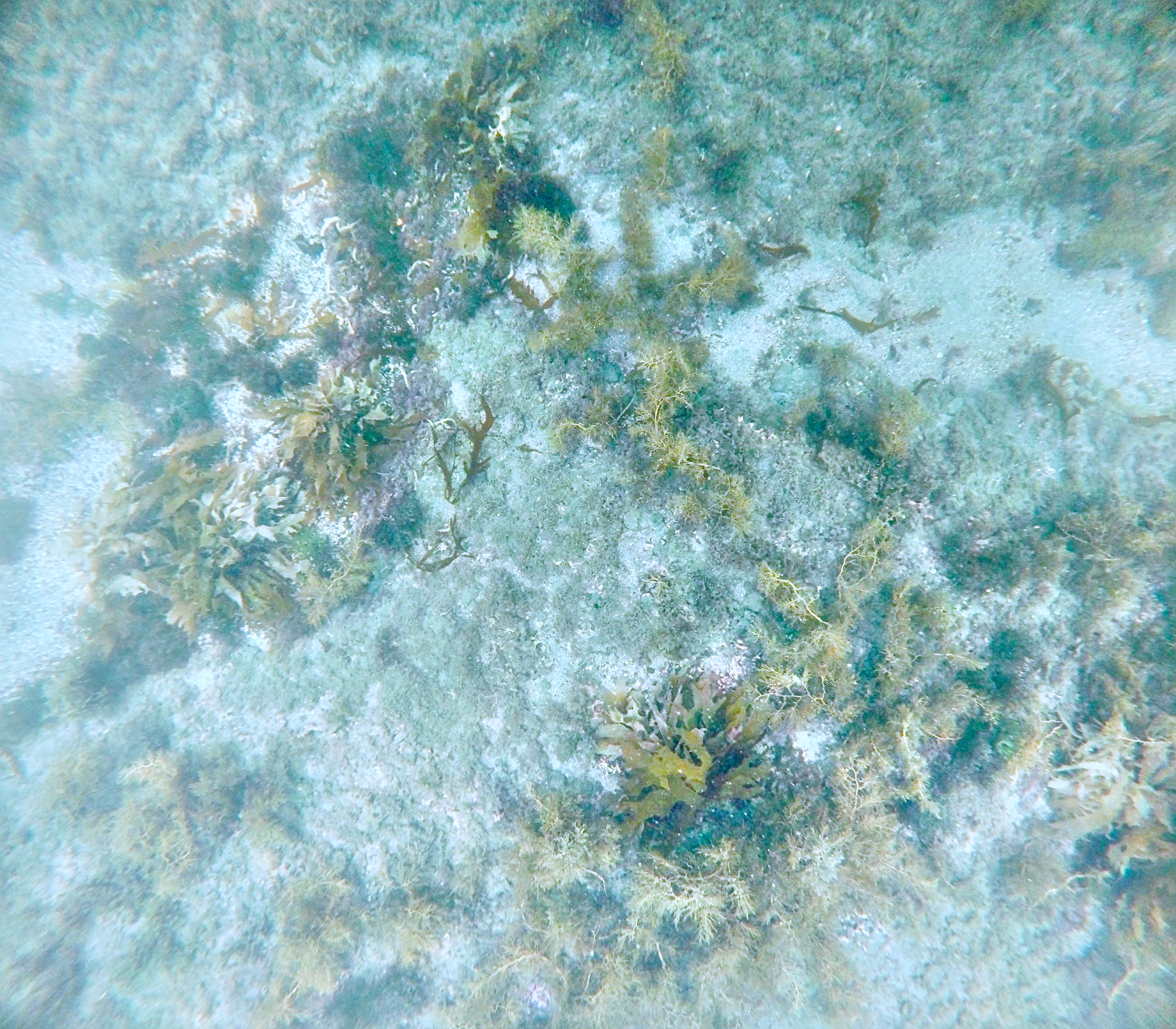 see-length 2.5m seafloor 2.5m - 3.0m