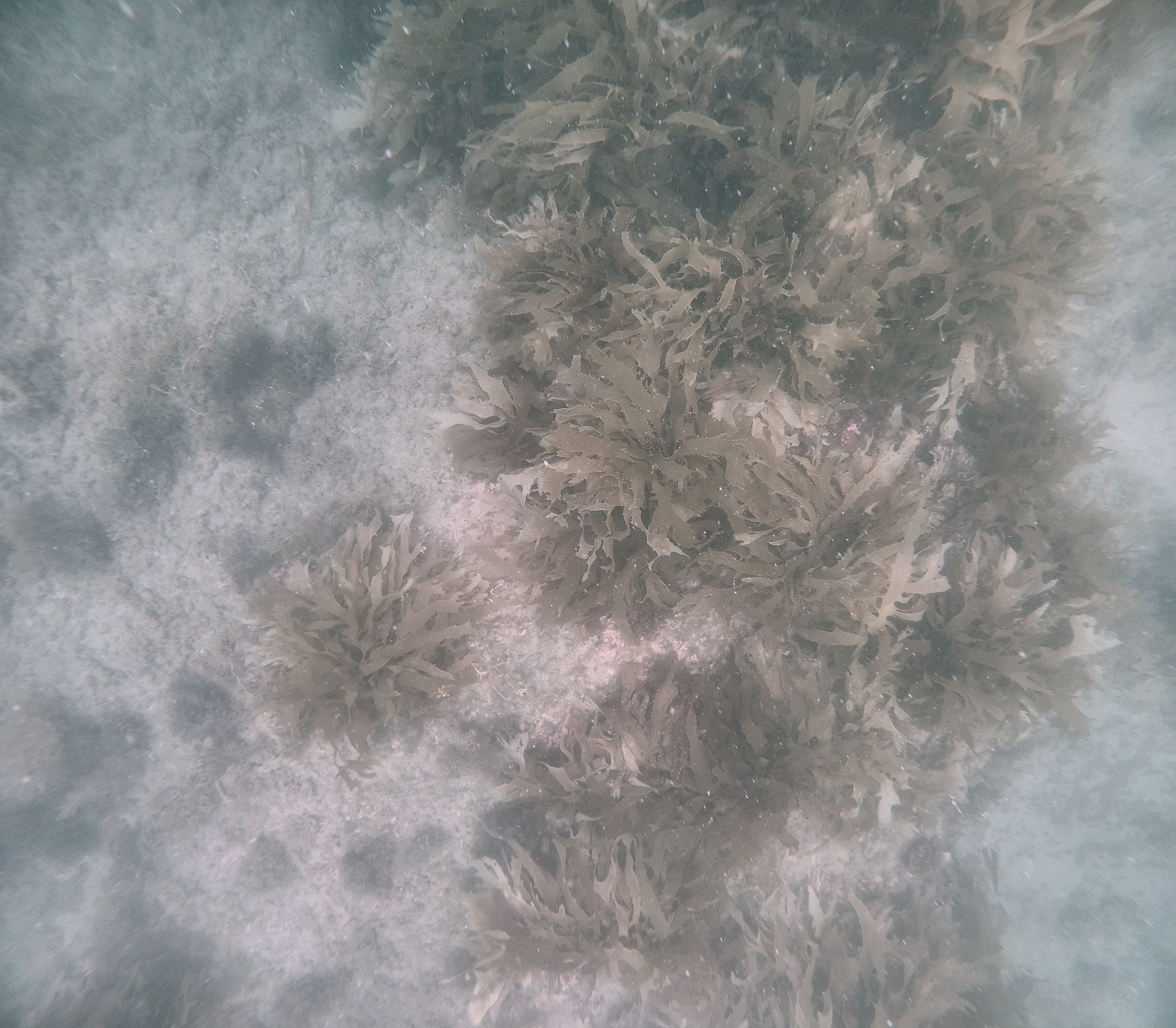 See-length 1.8m and seafloor 3m